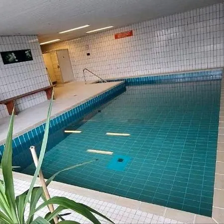 Exklusives Ferien-appartement Mit Pool- Und Saunazugang Fuer Bis Zu 4 Personen Schoenwald im Schwarzwald
